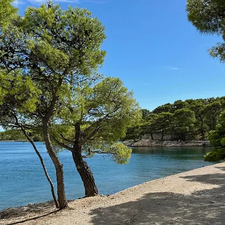 Autocamp Panorama * Grebastica