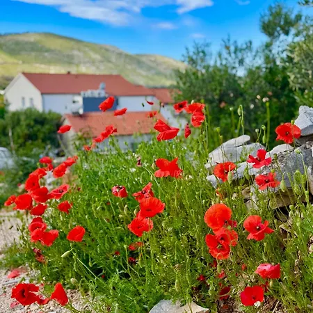 Autocamp Panorama Διαμέρισμα *