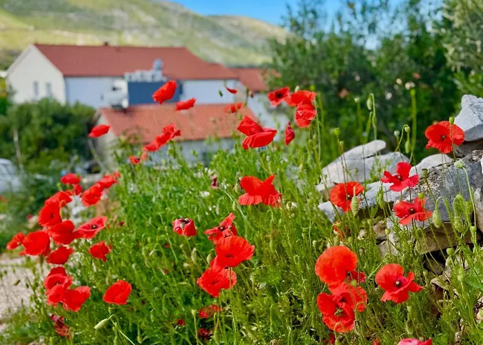 Autocamp Panorama Apartman *